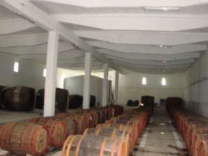 hala industriala