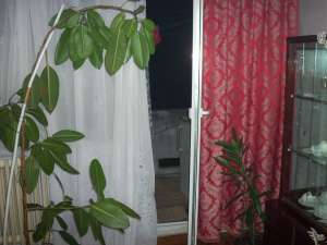 4 CAMERE