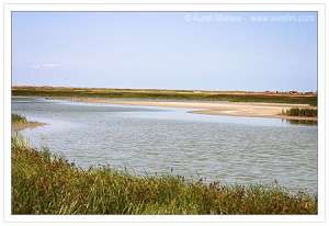 Vand terenuri in jud Constanta