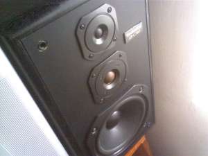 URGENT Boxe Technics model SB-CS 65