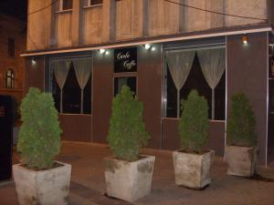 Carla Caffe,   inchiriaza locatia sa din B-dul Carol I, 