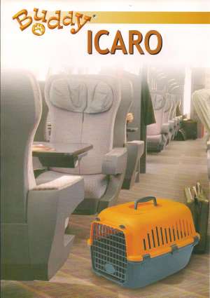 Casuta transport pisici