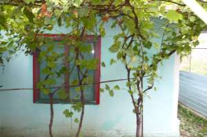 Casa 2 cam,   S totala= 300 mp,   12000 euro.