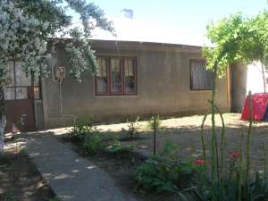 CASA ALEXANDRIA