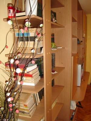 Biblioteca ROXANA