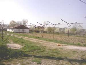 Vand sau caut colaborator