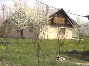 Vand sau caut colaborator