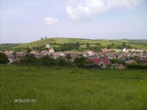 Teren 5000mp