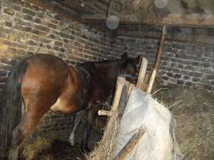 VAND CAL URGENT