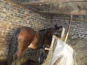 VAND CAL URGENT