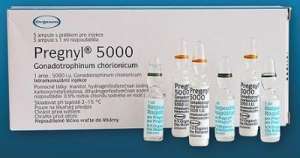 pregnyl
