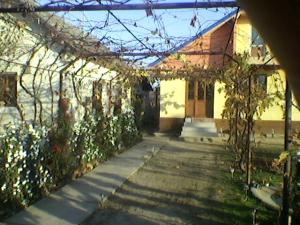 Vand casa in obarsia de camp la cheie
