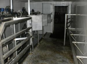 Vand ferma de bovine la standarde europene