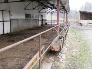 Vand ferma de bovine la standarde europene