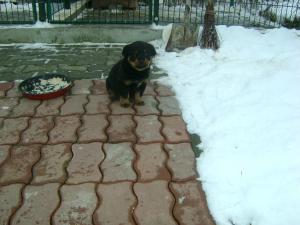 vinzare