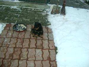 vinzare