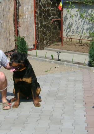 vinzare