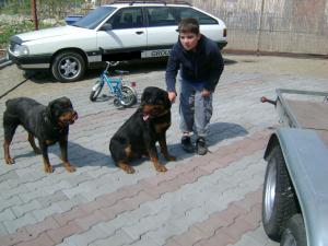 vinzare