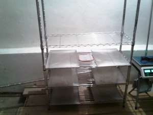 VAND RASTEL TAVI PATISERIE
