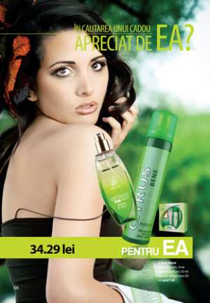 Part time,   program flexibil