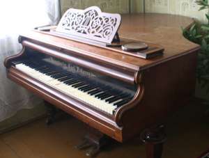 vand pian bosendorfer,    coada scurta