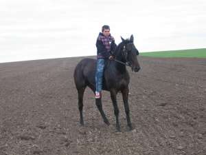 vand iapa