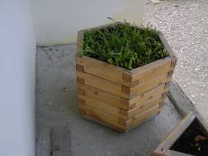 Vand jardiniere