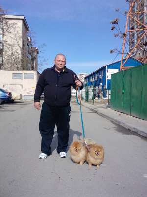 BEST DOGS dresaj canin de calitate