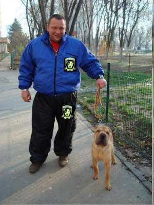 BEST DOGS dresaj canin de calitate