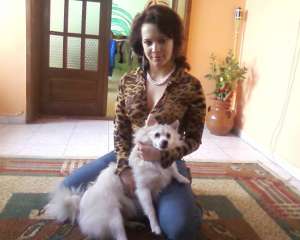 mascul spitz pitic alb