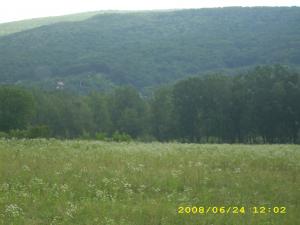 Teren de vinzare in jud Buzau