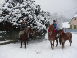 CAI DE VANZARE