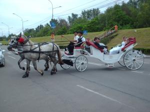 TRASURA DE INCHIRIAT