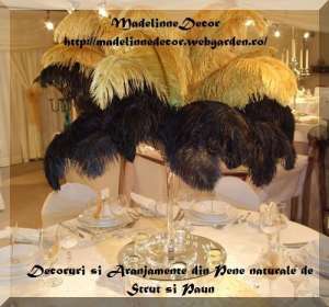 Oraganizari nunti speciale_decoruri din pene