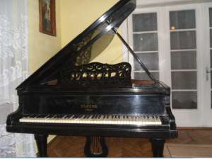 Pian vechi peste 100 de ani Pleyel Paris