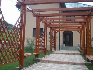 constructii de lemn