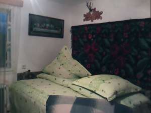 **PENSIUNEA CASA RODICA**