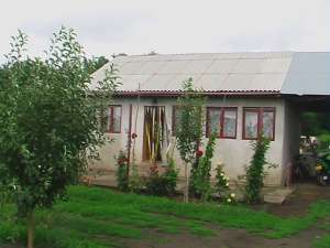 LIVADA DE VANZARE