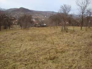 Teren 1000 mp Pausesti-Maglasi,  centru