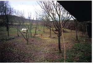 Vand gradina (livada)