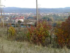 Tereni Lenin Sud