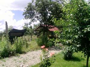 Vand/Schimb casa Tileagd