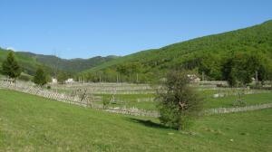vand teren valea doftanei