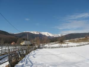 vand teren valea doftanei