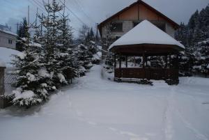 Cabana Maximia Cavnic