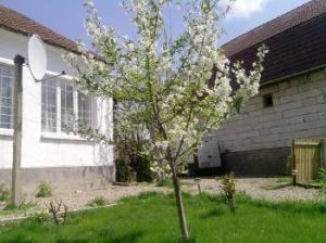 Vand/Schimb casa Tileagd