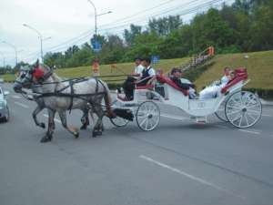 CALEASCA 0746492863