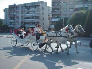 CALEASCA 0746492863