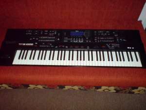 orga Roland G1000