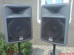 vand doua boxe peavey